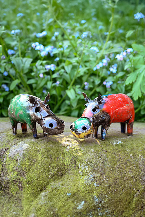 Hippos