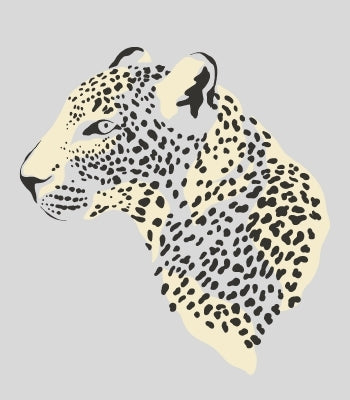 Lions, Cheetahs & Leopards