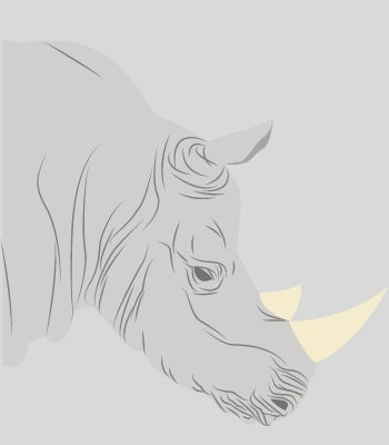 Rhinos