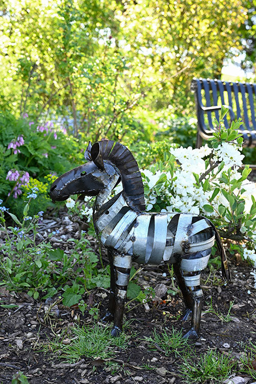 Zebras