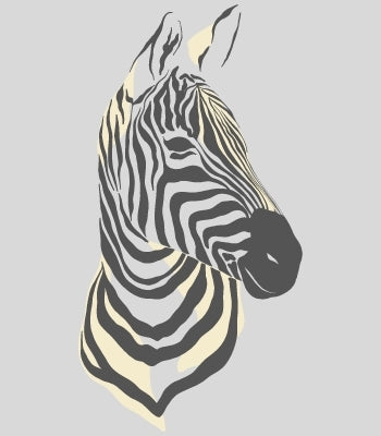 Zebras