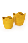 Yellow Elephant Grass Tulip Basket