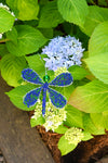 Beaded Blue Dragonfly Garden Stake