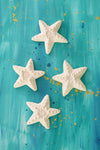 Set of Four All Natural Textured Soapstone Sea Stars