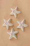 Set of Four All Natural Textured Soapstone Sea Stars