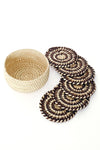 Variegated Turkana Doum Palm Coaster Set with Holder