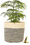 Large Black and Cream Twill Sisal Bin Basket