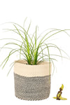 Medium Black and Cream Twill Sisal Bin Basket
