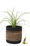 Medium Kitonga Sisal & Banana Fiber Bin Basket