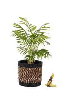 Small Kitonga Sisal & Banana Fiber Bin Basket