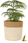 Large Cream and Khaki Sisal Bin Basket