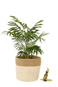 Small Cream and Khaki Sisal Bin Basket