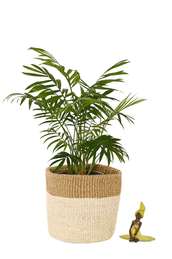 Small Cream and Khaki Sisal Bin Basket