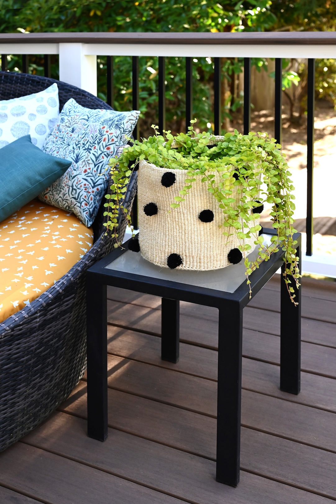Natural Sisal Bin with Black Polka Dots