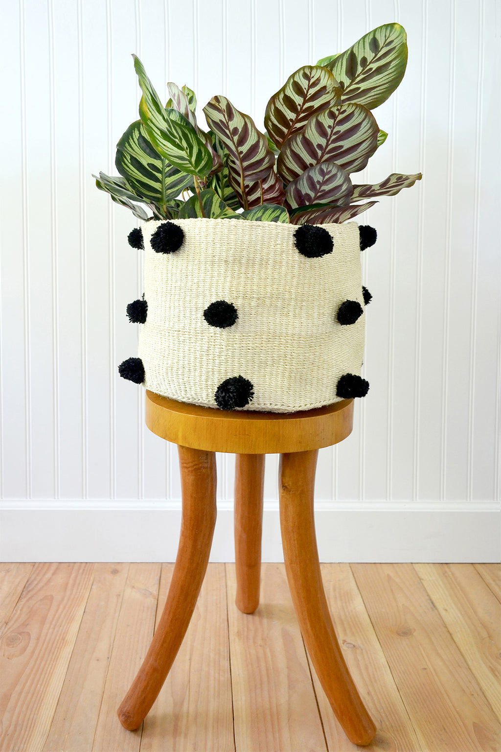 Natural Sisal Bin with Black Pom Poms