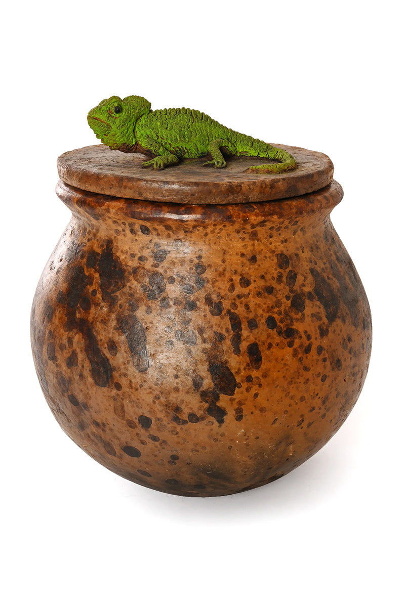 Ceramic Jar with Assorted Lizard Lid - Large