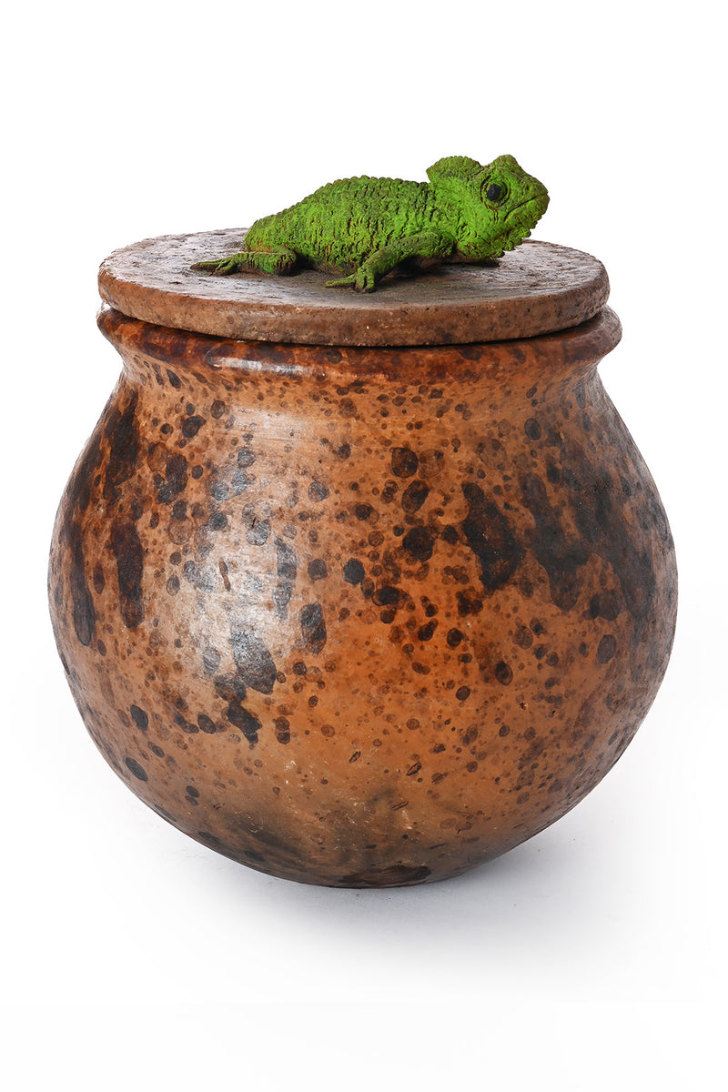 Ceramic Jar with Assorted Lizard Lid - Large