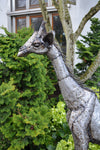 Tall Kenyan Recycled Metal Giraffe Garden Art Sculpture