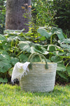 Garden Green Narrow Stripe Sisal Tote