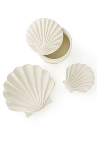 All Natural Soapstone Scallop Shell Storage Box