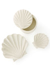 All Natural Soapstone Scallop Shell Storage Box