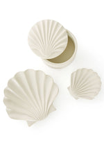 All Natural Soapstone Scallop Shell Storage Box