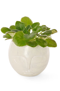 Hand Carved Soapstone Muse Vessel