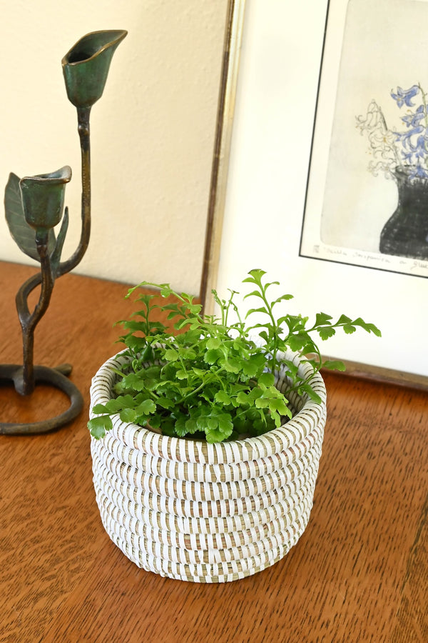 White Mini Flat Top Trinket Basket