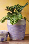 Lavender & Purple Bath Bin Basket