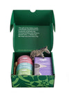 JusTea Loose Leaf Holiday Tea Trio Gift Box