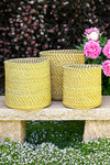 Yellow & Natural Maila Milulu Reed Basket - Large