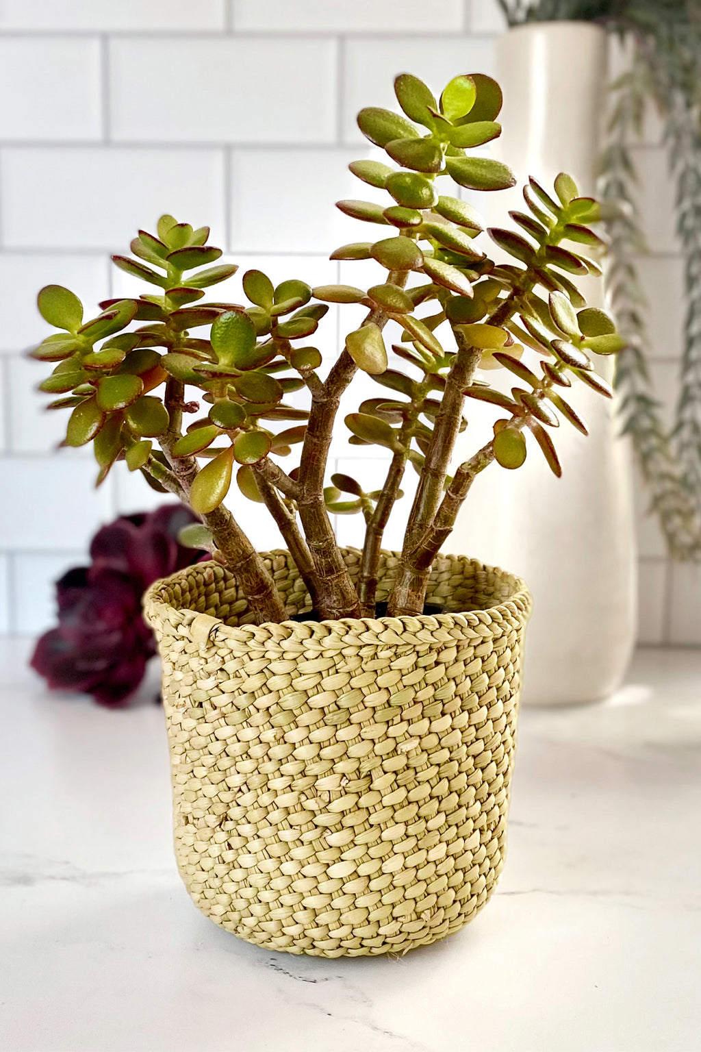 Natural Iringa Basket Pencil Cup Basket