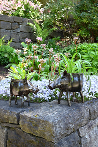 Zimbabwean Recycled Cook Pot Warthog Planters