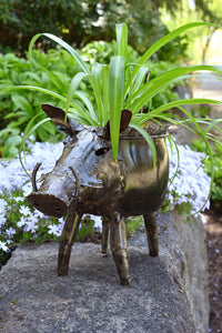Zimbabwean Recycled Cook Pot Warthog Planters