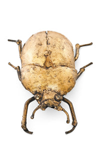 Recycled Metal Golden Beetle Sculpture