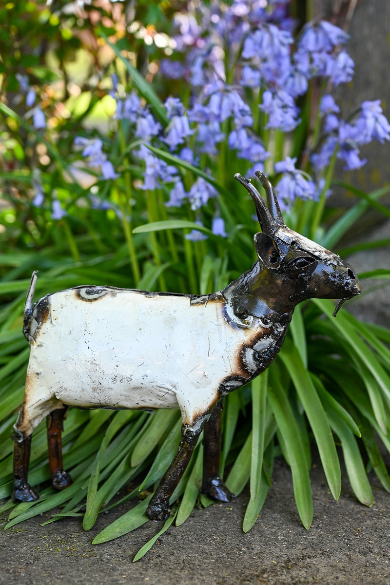 Recycled Metal African Farm Goats