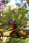 Small Recycled Metal Robin Sculpture