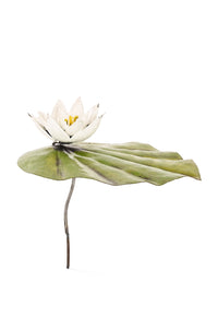 Recycled Metal Lily Pad Garden Sculpture