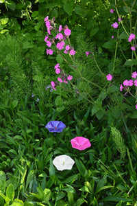 Small Metal Petunia Flower Garden Stake – Pink