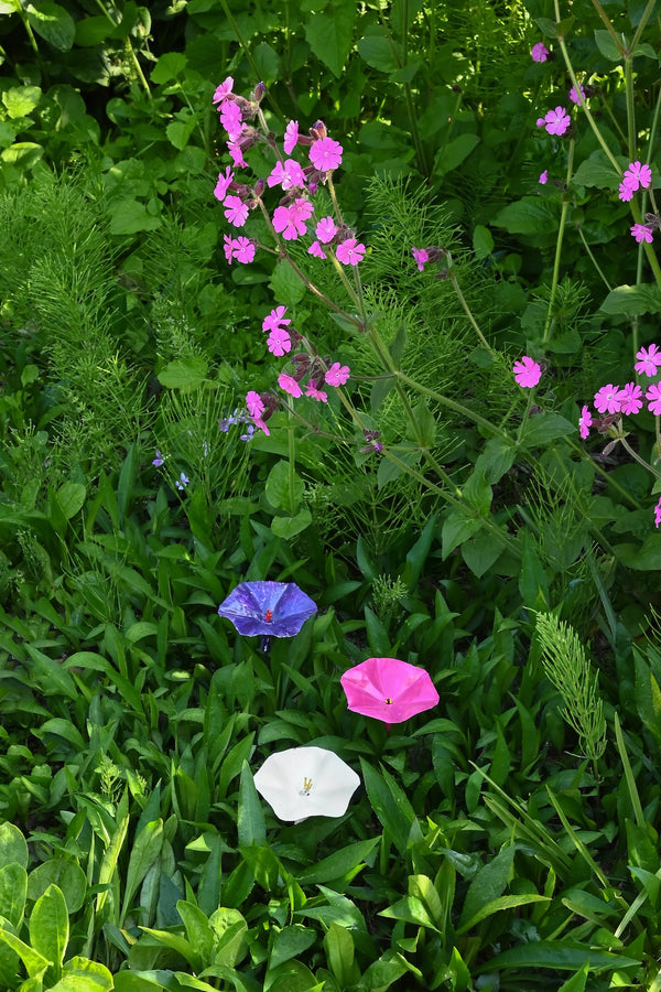 Small Metal Petunia Flower Garden Stake – Pink