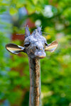 Tall Kenyan Recycled Metal Giraffe Garden Art Sculpture