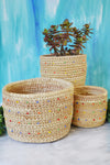 Ngurunit Nomadic Camel Milking Baskets with Rainbow Beaded Dots