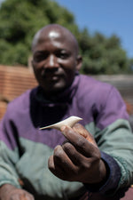 MADE51 Peaceful Dove Ornament, Crafted by Congolese Refugees in Kenya