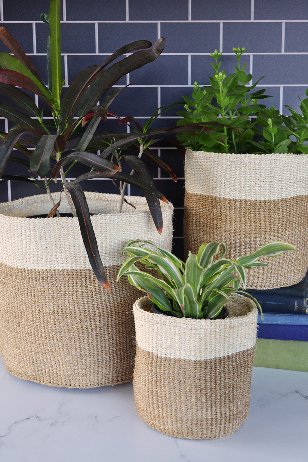 Set of Three Beige and Cream Sisal Nesting Baskets