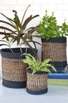 Set of Three Kitonga Sisal Nesting Baskets