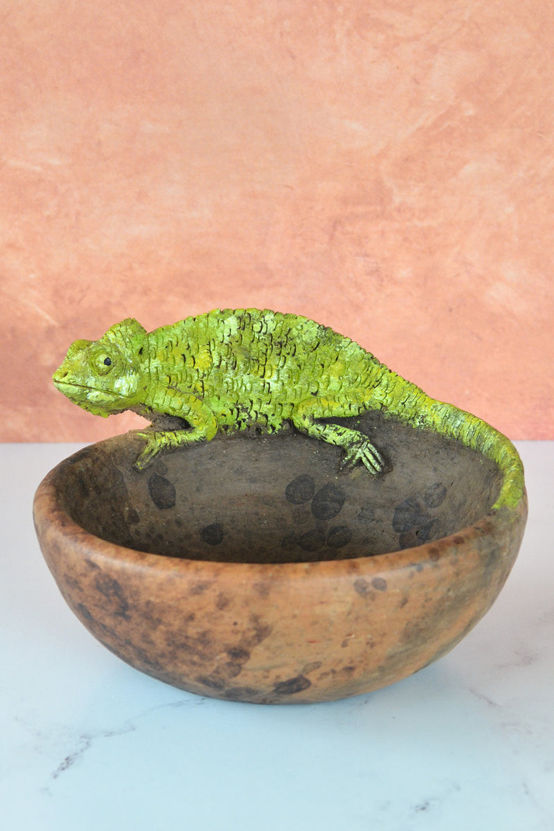 Kenyan Chameleon Ceramic Bowl