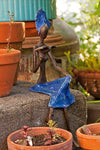 <i>Literate Lady</i> Burkina Bronze Sculpture