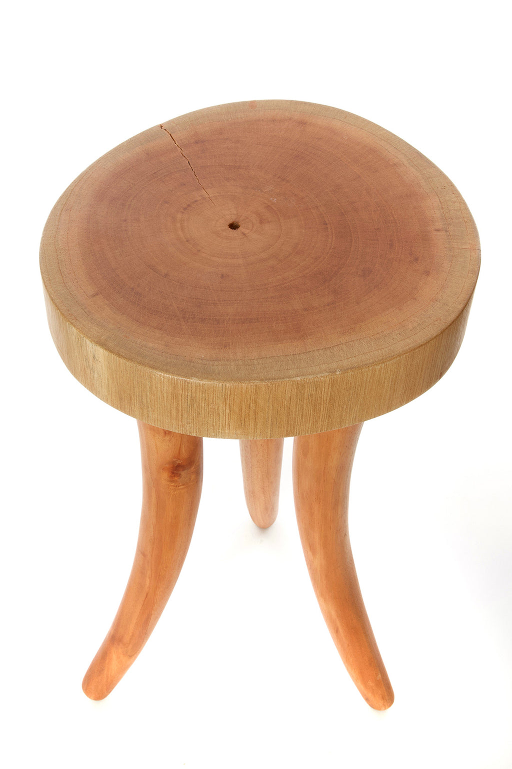 Cedrela Wood Tusk Accent Table