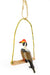 Single Kenyan Bird Swing Decoration - Assorted