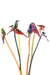 Assorted Bird Garden Stakes